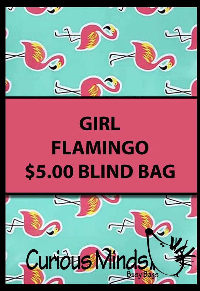 BLIND BAGS - Mystery Surprise Bags with Assorted Fidgets and Toys - Birthday Gift - Popular Kids Gift