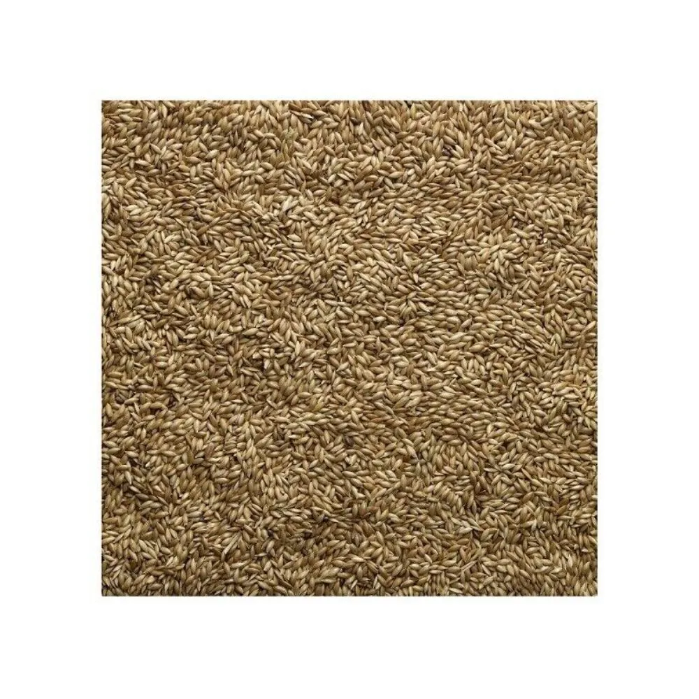 Bucktons Plain Canary Bird Seed 20kg