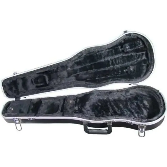 CC400V Core Thermoplastic Case Viola Case