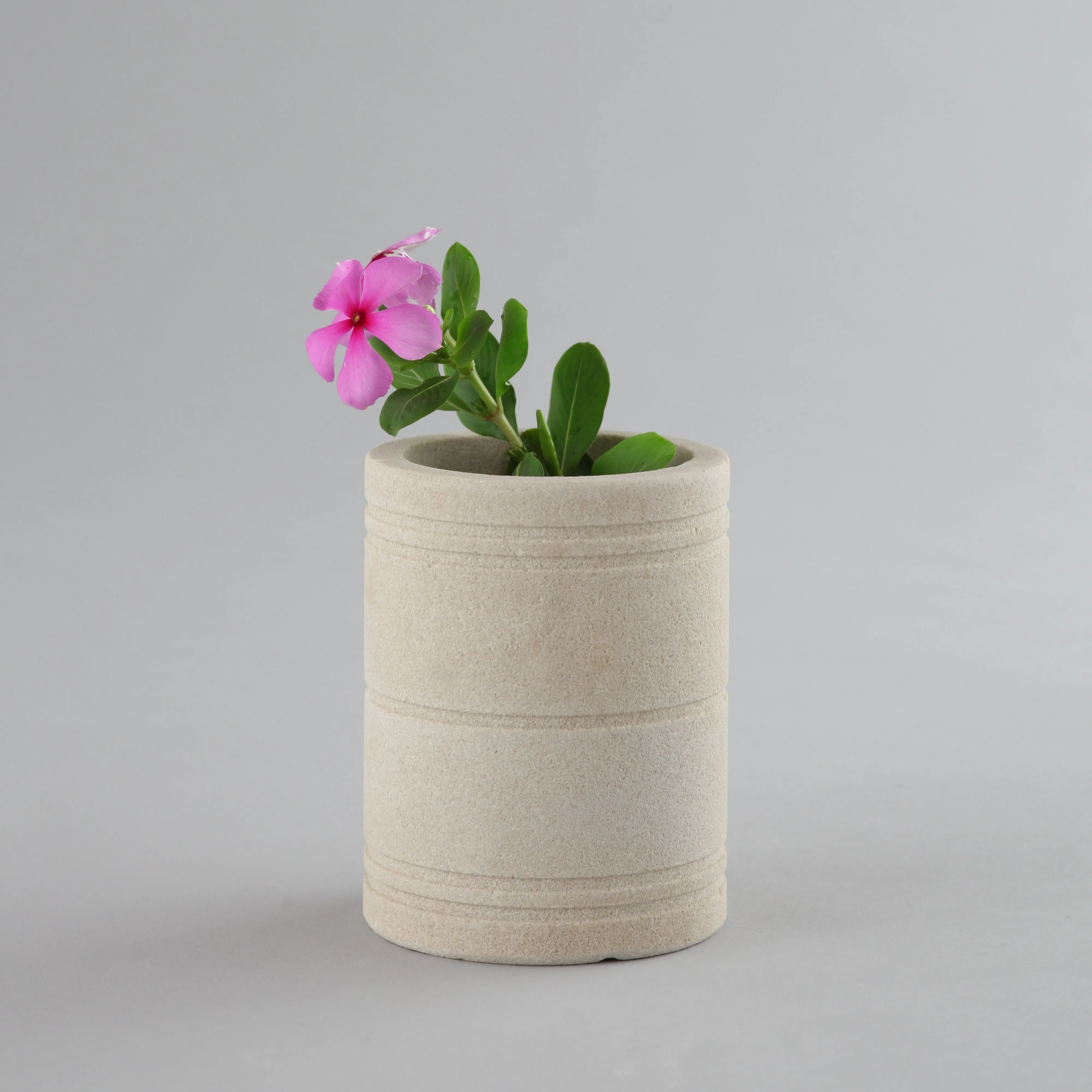 Elegant Flower Vase