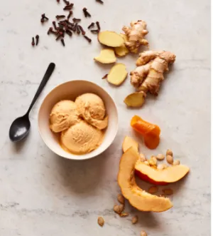 Nancy's Fancy Pumpkin Brandy Ice Cream Pint