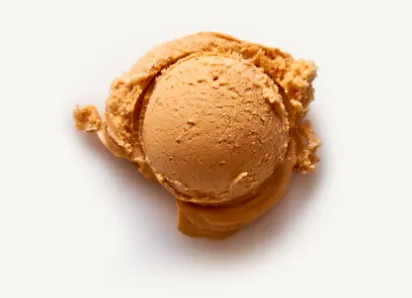 Nancy's Fancy Pumpkin Brandy Ice Cream Pint