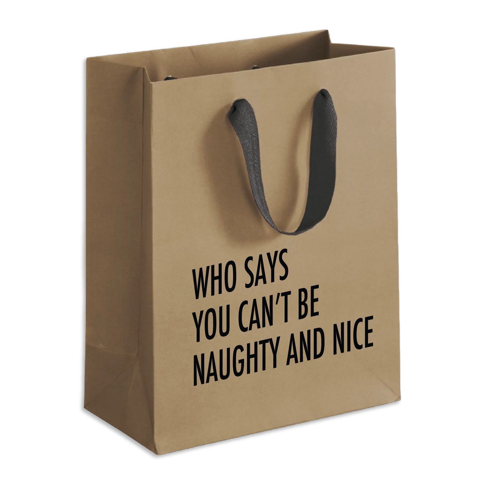 Naughty Nice Christmas Gift Bag