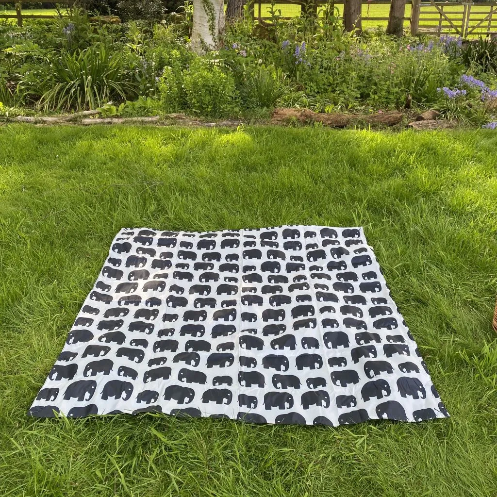 Picnic Blanket - SILVER LIGHTNING