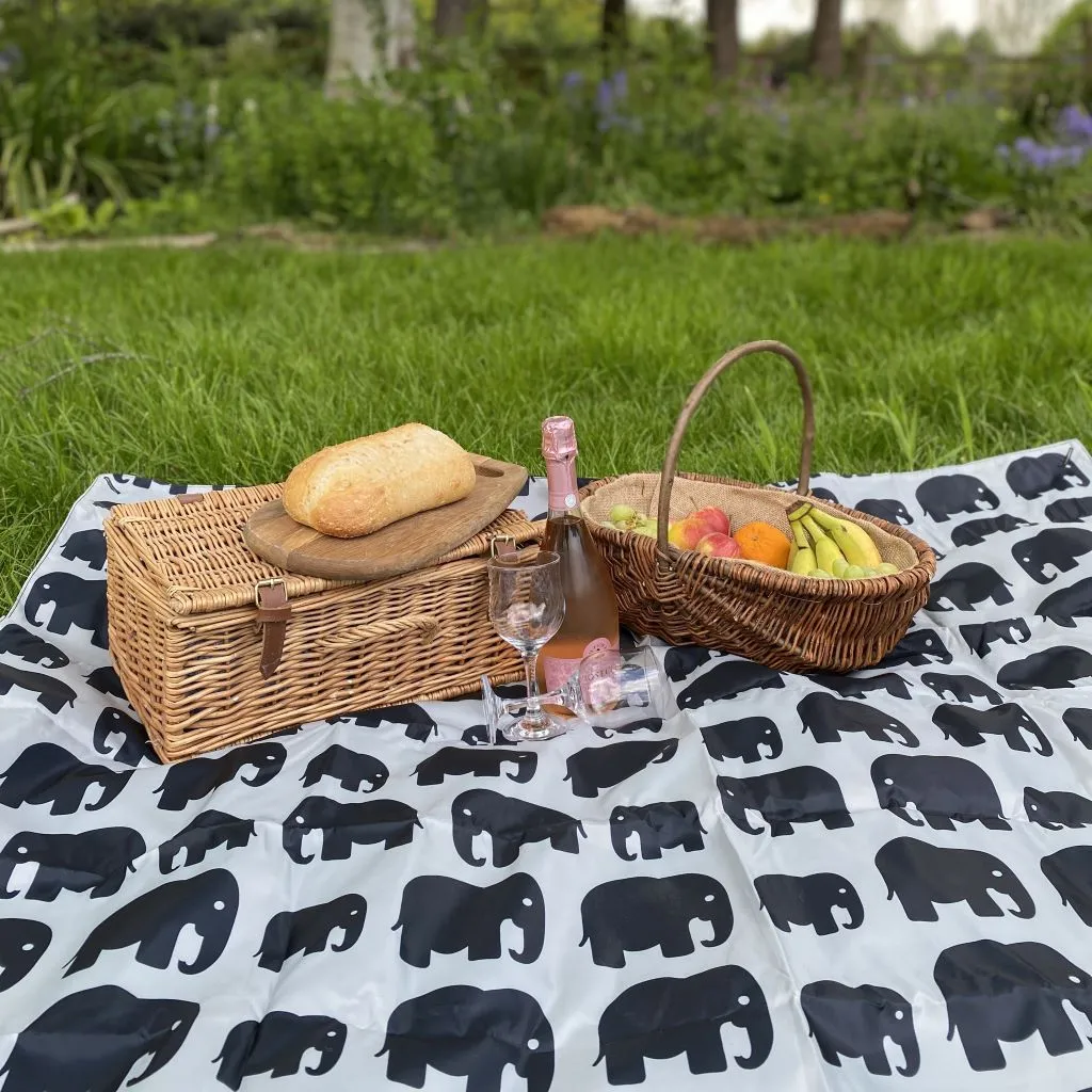 Picnic Blanket - SILVER LIGHTNING